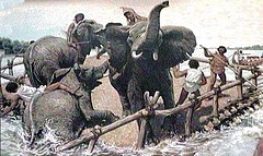 Hannibal traverse le Rhône avec ses éléphants