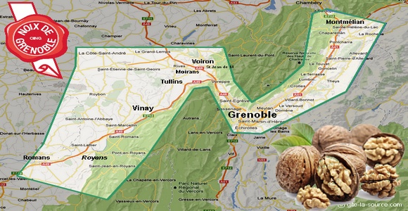 la noix de Grenoble, entre Chartreuse et Vercors, faonne le paysage depuis des millnaires