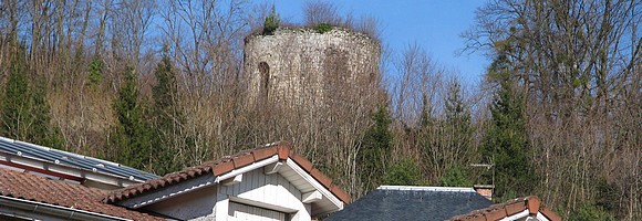 la Tour Barral au dessus des toits