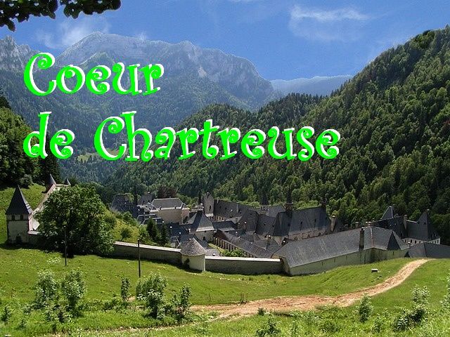 une richesse naturelle, humaine et patrimoniale unique. la Chartreuse c’est la nature restée intacte à deux pas du gîte.