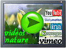 bouff�es de nature