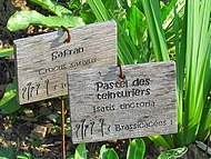 Beauvoir en Royans. Jardin médiéval.
