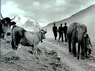 1959 en Maurienne