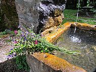 Coulmes, la fontaine de Pétouze