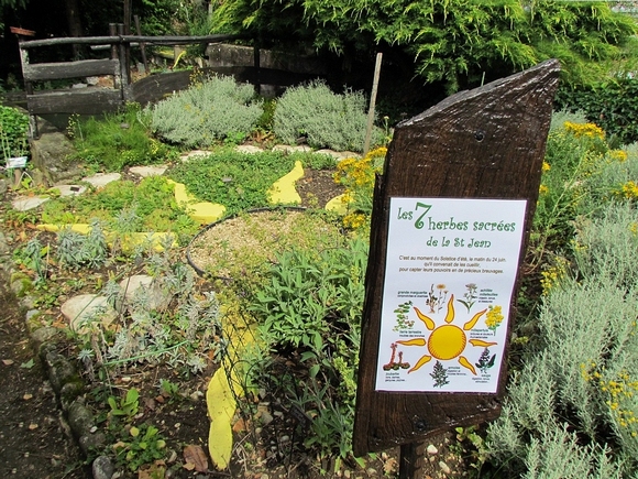 herbes sacrées de la St Jean au jardin du Gîte La Source